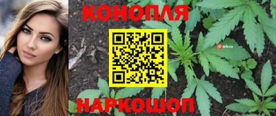 крисы Канаш