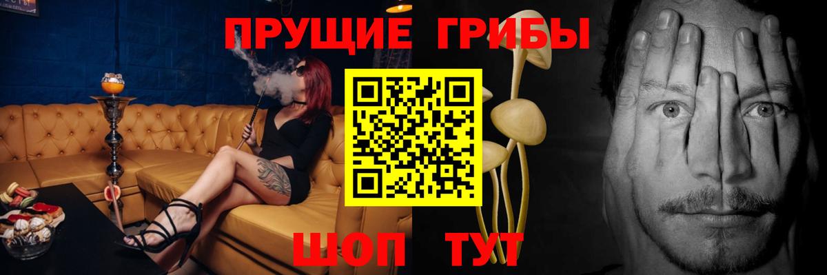 Галлюциногенные грибы MAGIC MUSHROOMS  Вход с VPN  Дюртюли  Галлюциногенные грибы Magic Shrooms 